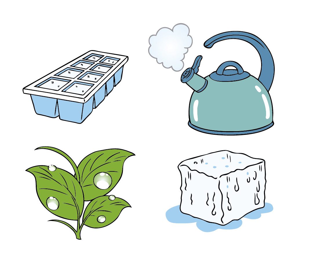 cambios de estado de la materia cuales son y ejemplos