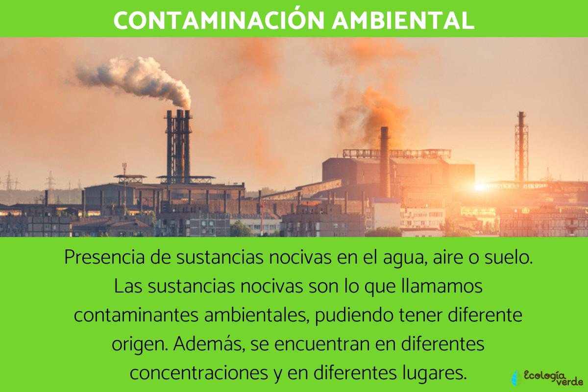 causas y consecuencias de la contaminacion ambiental